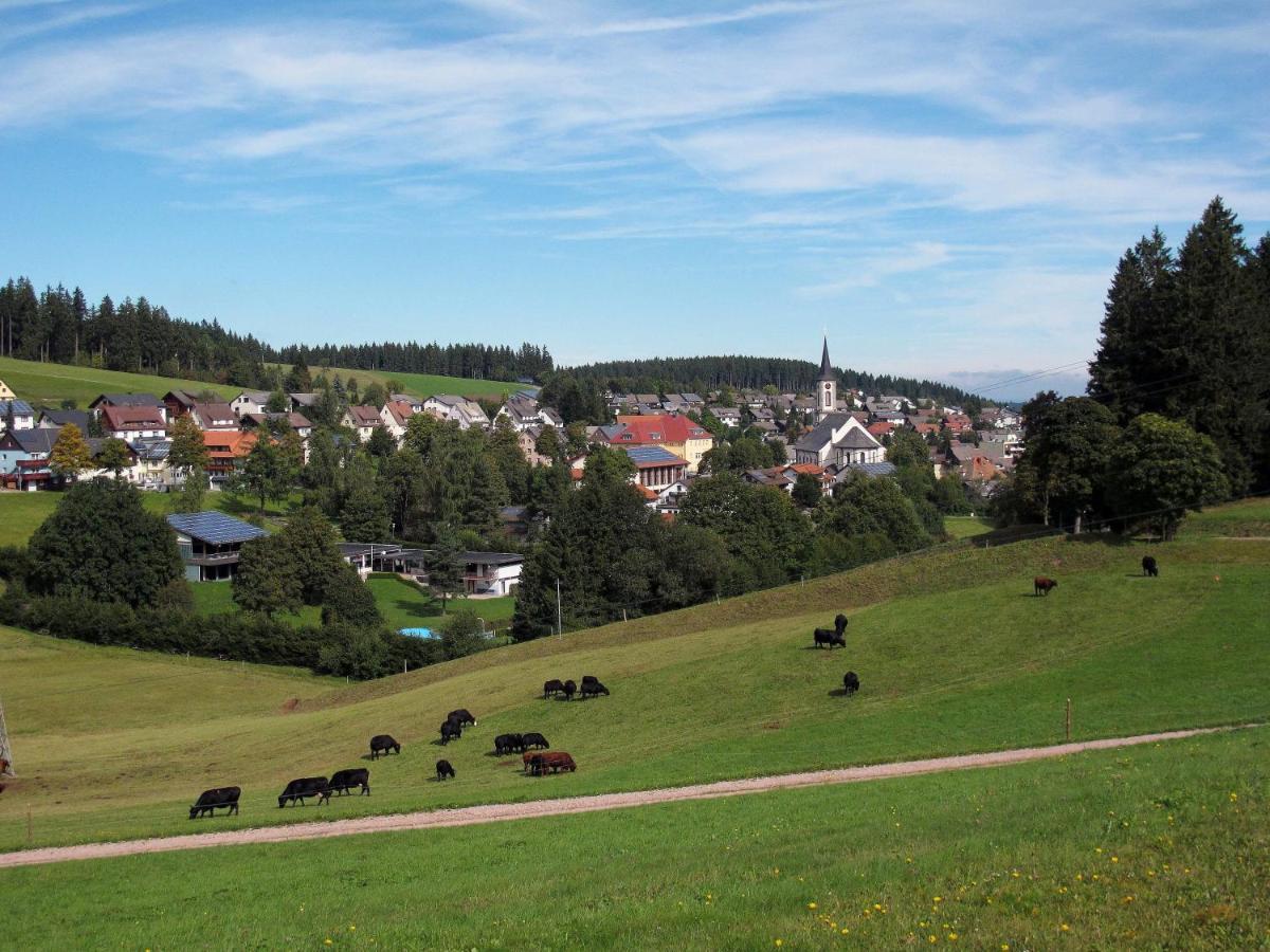 Landhotel Garni Schweizerhaus โชนวัลด์ ภายนอก รูปภาพ