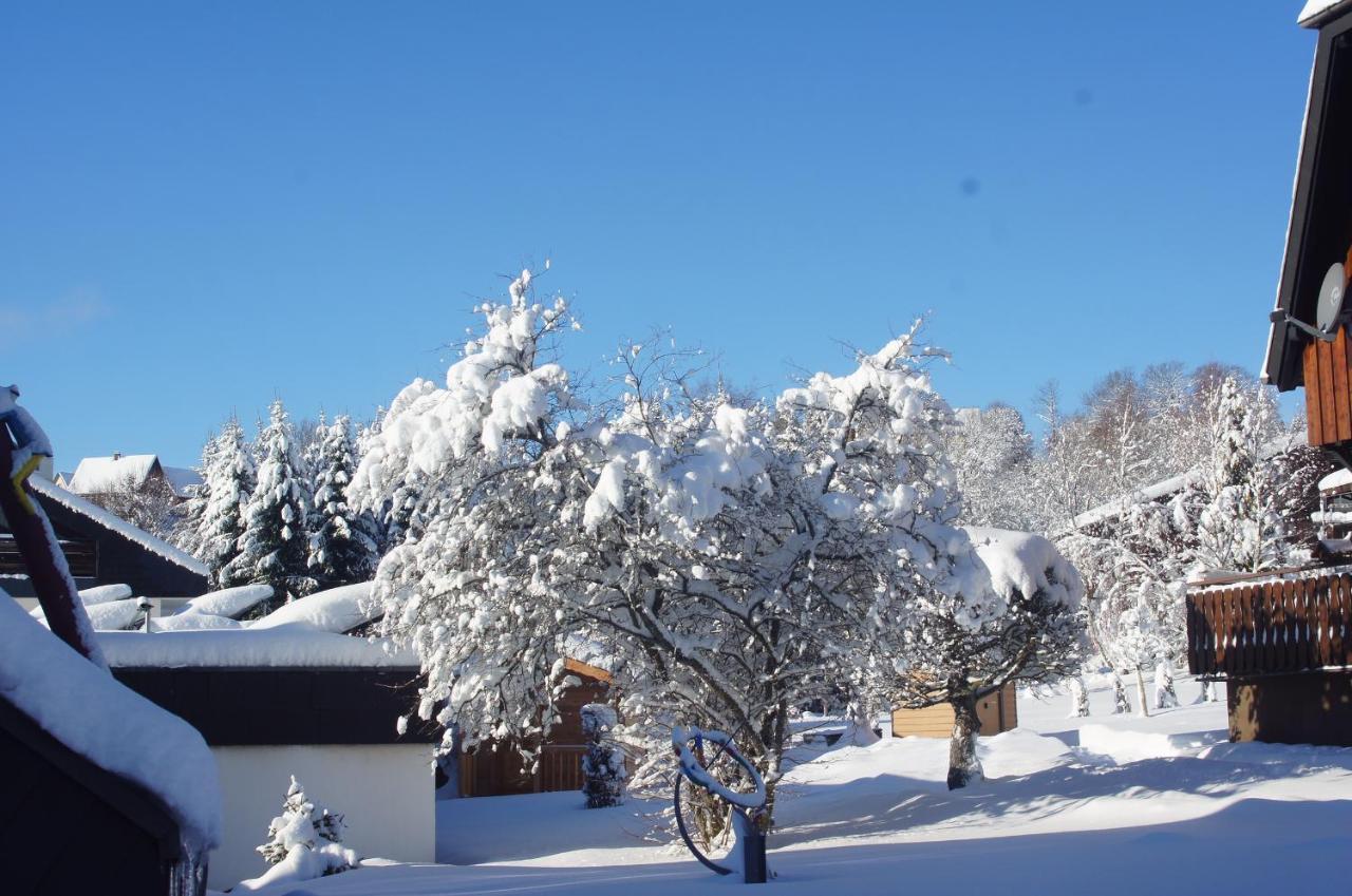 Landhotel Garni Schweizerhaus โชนวัลด์ ภายนอก รูปภาพ
